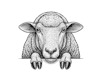 Ilustración vectorial de oveja asomando, oveja SVG, oveja PNG, oveja JPG, arte de oveja, clipart de oveja, silueta de oveja, oveja asomando, oveja linda
