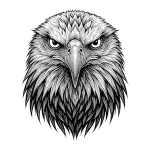 Ilustracja wektorowa z portretem głowy orła, SVG, PNG, JPG, grafika z orłem, projekt koszulki, sublimacja, grafika z orłem, pliki do cięcia, sylwetka orła