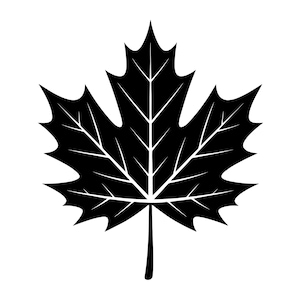Puede incluir: Una ilustración gráfica de color negro sólido de una hoja de arce que presenta un tallo central y lóbulos puntiagudos simétricos con líneas de venas blancas claramente definidas que recorren toda la estructura de la hoja, sobre fondo blanco.