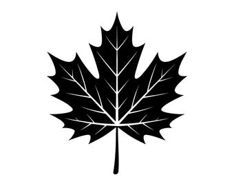 Maple Leaf Vector Illustration, Maple Leaf SVG, Maple Leaf PNG, JPG, Leaf Art, Leaf Clipart, Leaf Silhouette, Autumn Leaf, Canadian Leaf
