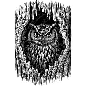 Owl Vector Illustration, Owl SVG, Owl PNG, Owl JPG, Cute Owl Art, Owl Clipart, Owl Silhouette, Night Owl, Flying Owl, Tree Owl, Owl Face