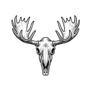 Moose Skull Vector Illustration, Moose SVG, Moose PNG, Moose JPG, Moose Art, Moose Clipart, Moose Silhouette, Antler Skull, Hunting Decor