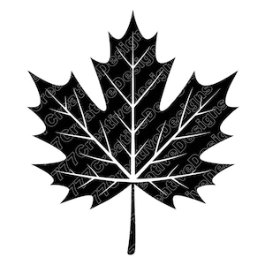 Maple Leaf Vector Illustration, Maple Leaf SVG, Maple Leaf PNG, JPG, Leaf Art, Leaf Clipart, Leaf Silhouette, Autumn Leaf, Canadian Leaf