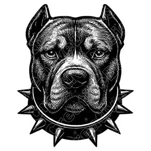 Pitbull With Spiked Collar Vector Illustration, Pitbull Svg, Pitbull Png, Jpg, Pitbull Art & Clipart, Pitbull Silhouette, Strong Pitbull