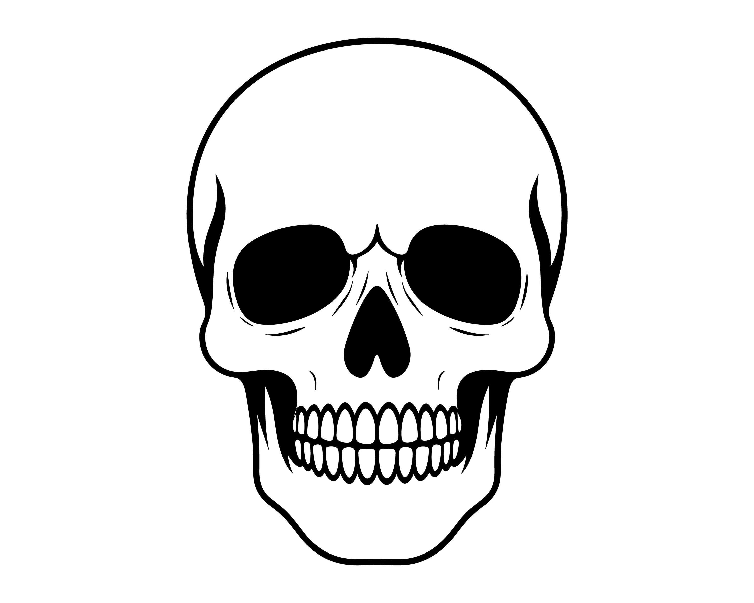 Human Skull Simple Vector Illustration, Human Skull SVG, Skull PNG, Skull JPG, Skull Art, Skull Clipart, Skull Silhouette, Anatomical Skull