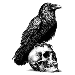 May include: A black and white illustration of a raven perched atop a human skull. The raven is detailed with textured feathers and a sharp beak. The skull is rendered with intricate shading, creating a gothic or macabre theme.