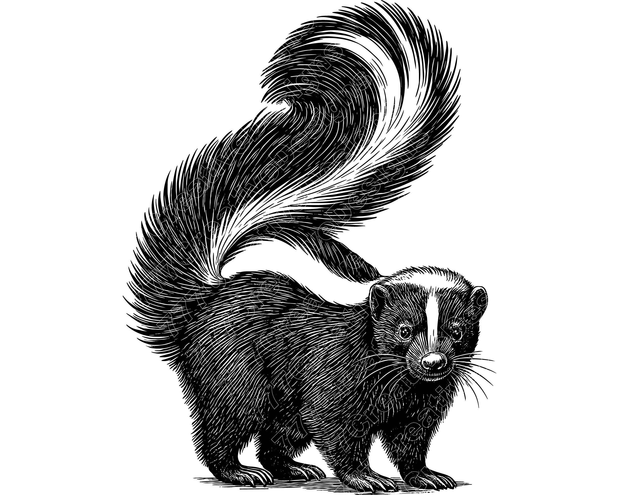 Zorrillo Con Máscara De Gas Stock de ilustración - Ilustración de  historieta, lindo: 175577411, image size:2500x2000