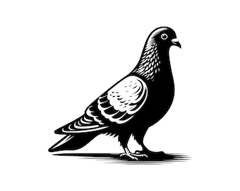 Pigeon Vector Illustration, Pigeon SVG, Pigeon PNG, Pigeon JPG, Cute Pigeon Art, Pigeon Clipart, Pigeon Silhouette, Flying Pigeon, Dove Bird