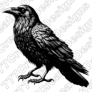 May include: A black and white illustration of a raven with its wings spread out. The raven is perched on its feet with its head turned to the left. The raven is drawn in a detailed and realistic style.