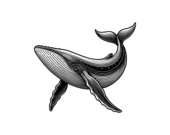 Whale Vector Illustration, Whale SVG, Whale PNG, Whale JPG, Whale Art, Whale Clipart, Cut Files, Whale Silhouette, Ocean Whale, Big Whale