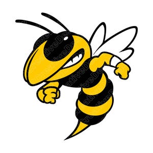 Hornet bee mascotte vectorillustratie, bee SVG, wesp png, hommel JPG, bee kunst, hornet bee mascotte clipart, bee silhouet, cartoon bee