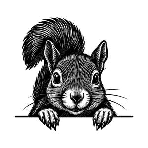 May include: Black and white illustration of a squirrel peering over a ledge. The squirrel has detailed fur, large eyes, and a bushy tail. The image is a detailed line drawing, perfect for wall art or a nature-themed design.