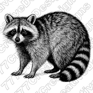 Raccoon Vector Illustration, Raccoon Svg, Raccoon Png, Jpg, Raccoon Art, Cute Raccoon Clipart, Cut Files, Raccoon Silhouette, Forest Raccoon