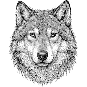 Wolf Head Vector Illustration, Wolf SVG, Wolf PNG, Wolf JPG, Wolf Art, Wolf Clipart, Wolf Silhouette, Howling Wolf Head, Fierce Wolf Head