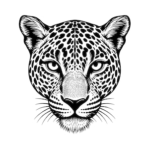 Illustrazione vettoriale semplice di un leopardo, leopardo in formato SVG, PNG, JPG, arte del leopardo, clipart di un leopardo, silhouette di un leopardo, leopardo minimalista, leopardo selvatico