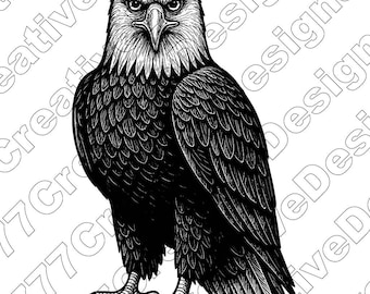 Eagle Vector Illustration, Eagle Svg, Eagle Png, Eagle Art, Eagle Clipart, Eagle Cut Files, Eagle Silhouette, Flying Eagle, American Eagle