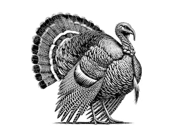 Wild Turkey Vector Illustration, Turkey SVG, Turkey PNG, Turkey Art, Turkey Clipart, Cut File, Turkey Silhouette, Woodland Turkey, Game Bird