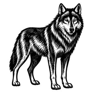 Può includere: Illustrazione in bianco e nero di un lupo in piedi, rivolto in avanti. Il lupo ha una pelliccia dettagliata ed è ambientato su uno sfondo bianco. L'immagine ha il testo "Creative Designs" nell'angolo in alto a destra.