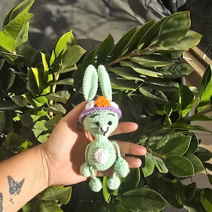 May include: A light green crocheted rabbit toy featuring long ears, a white circular belly patch, and a purple hat adorned with a small orange flower. The rabbit has embroidered black eyes and a nose, with thin arms and legs ending in small paws.