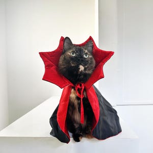 Halloween Vampire Pet Costume, Cat Costume, Dog Clothes, Cat Costumes, Pet Clothing, Kitten Costume, Dog Outfit, Puppy Costume, Pet Gift