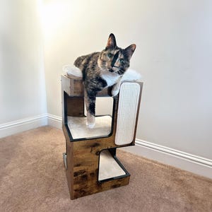 Maison en bois pour chat, meubles pour animal de compagnie, arbre à chat, griffoir en jouet, chat grimpant, griffoir pour chat, cadeaux en bois pour animal de compagnie, amoureux des chats, arbre à chat moderne