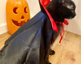 Costume da vampiro di Halloween per animali domestici, costume da