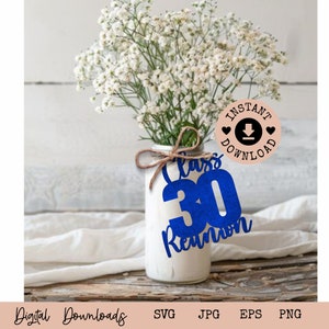 30 jaar decor SVG I Class Reunion 1994 I 30th SVG I High School Reunion SVG I Class Of 1994 digitale download I Cut-bestand