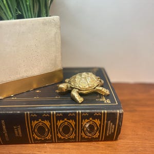 May include: A small, metallic gold-colored turtle figurine with a textured shell and detailed limbs. The turtle is positioned on top of a black book with gold lettering and decorative spine accents, next to a light-colored rectangular planter.