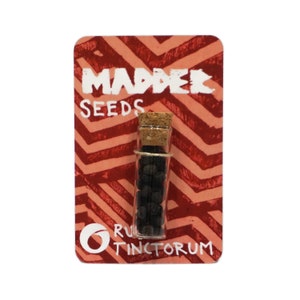 Madder Seeds : Dye Plant 20 Seeds