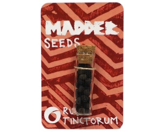 Madder Seeds : Dye Plant 20 Seeds