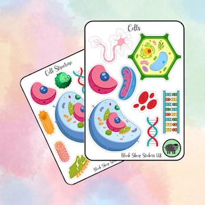 May include: Two sheets of stickers featuring colourful illustrations of cells and cell structures. The stickers are labelled "Cells" and "Cell Structure". The stickers are from Black Sheep Stickers UK.