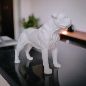 May include: A white sculpture of a dog in a standing pose. The dog has a muscular build and a short snout. The sculpture is smooth and appears to be made of a solid material. The dog is standing on a dark, reflective surface.