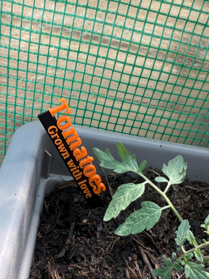 May include: A close-up of a tomato plant growing in a gray container. An orange and black label reads "Tomatoes Grown with love." The plant has green leaves and is surrounded by dark soil. A green mesh background is visible.