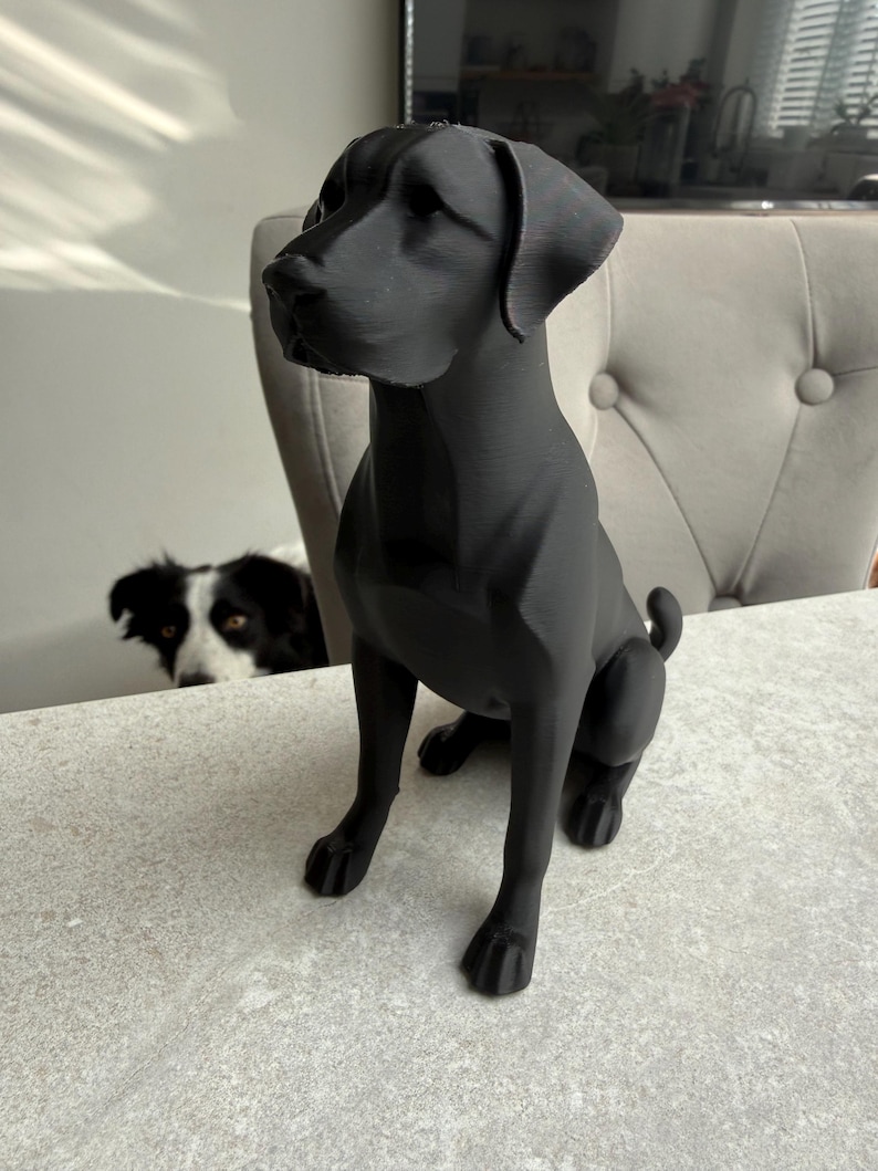 May include: A black dog statue in a seated position, with a smooth, matte finish. The sculpture has detailed features, including the dog's ears, snout, and paws. The dog is sitting on a light gray surface.