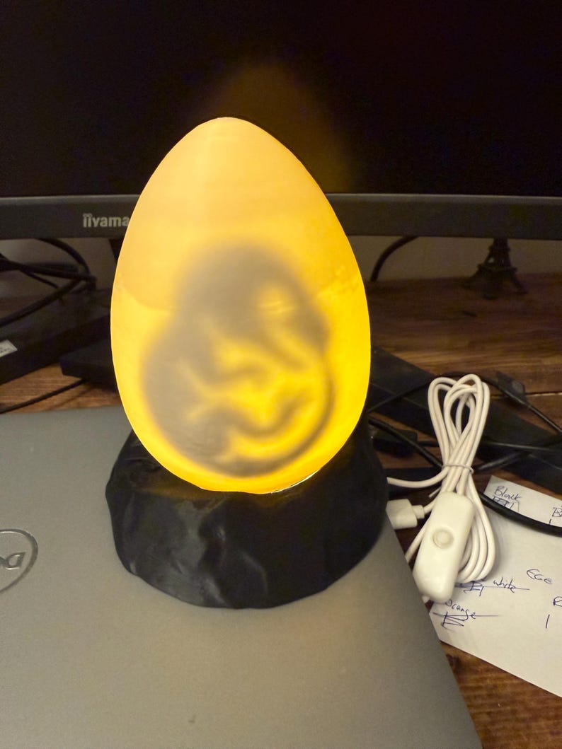 Jurassic Dinosaur Egg Lamp – 3D Printed Prehistoric Night Light | Unique Dino Gift for Kids & Adult image 2