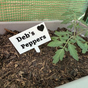 Puede incluir: Una joven planta de tomate en una jardinera gris. Un letrero blanco con las palabras "Deb's Peppers" y un coraz&oacute;n negro est&aacute; en la tierra. La tierra es de color marr&oacute;n oscuro y est&aacute; acolchada. Una estructura de malla verde est&aacute; en el fondo.