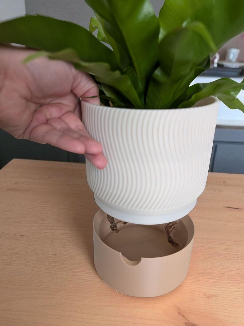 May include: A white, ridged planter pot holding a green plant, sitting above a beige saucer. The pot has a curved design. The plant has large, wavy leaves. The pot and saucer are on a light wood surface.
