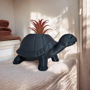 Cute Turtle Planter 3D Printed | Succulent Pot | Small Plant Holder | Colourful Turtle Decor | Unique Gift for Plant Lovers