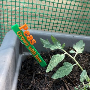 May include: A green and orange plant marker in a garden bed. The marker reads "Peas Grown with love." A young plant with green leaves is growing in the dark soil. The background includes a green mesh.
