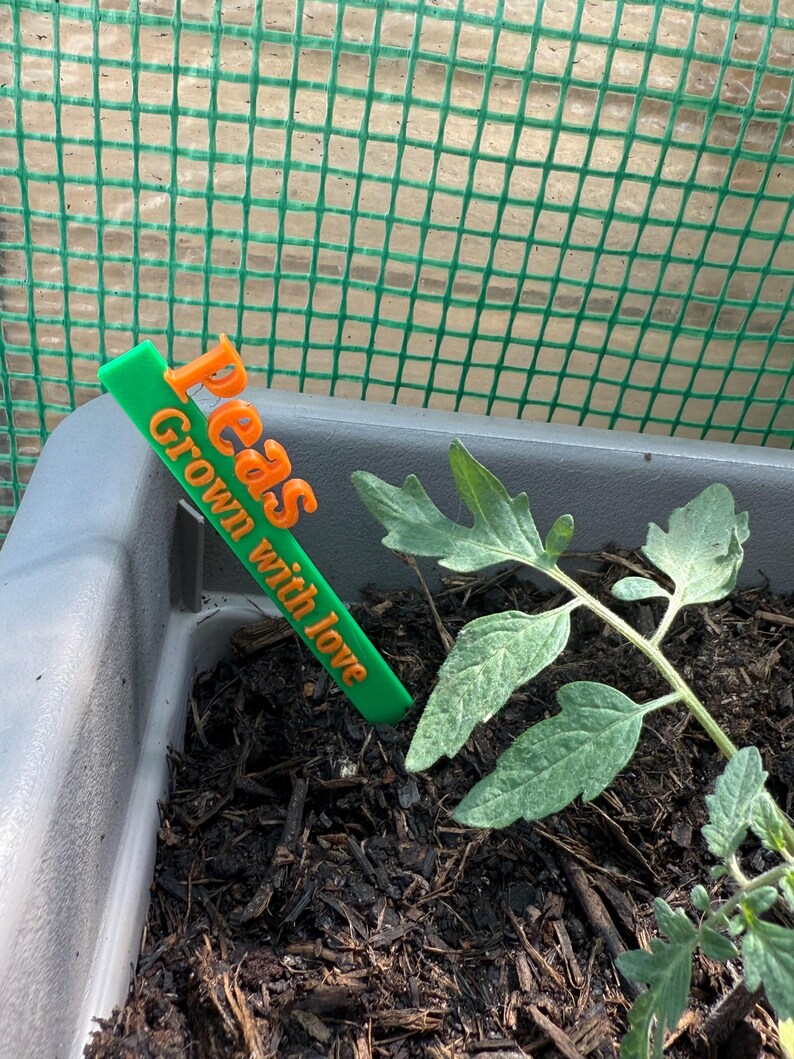 May include: A green and orange plant marker in a garden bed. The marker reads "Peas Grown with love." A young plant with green leaves is growing in the dark soil. The background includes a green mesh.