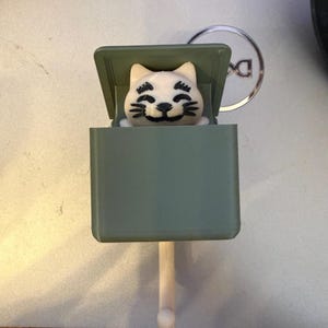 May include: A whimsical cat-shaped keychain charm. The cat is white with black facial details, peeking out of a green box. The box is attached to a white stick with a rounded end. A silver-colored keychain ring is visible in the background.