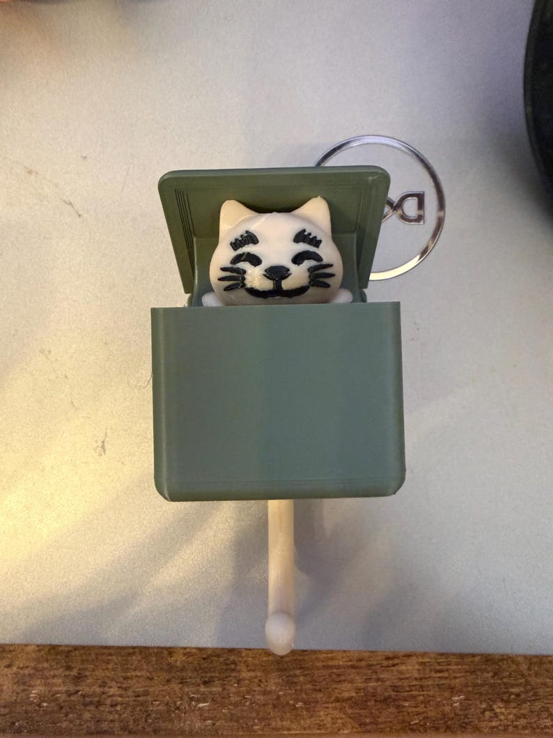 May include: A whimsical cat-shaped keychain charm. The cat is white with black facial details, peeking out of a green box. The box is attached to a white stick with a rounded end. A silver-colored keychain ring is visible in the background.