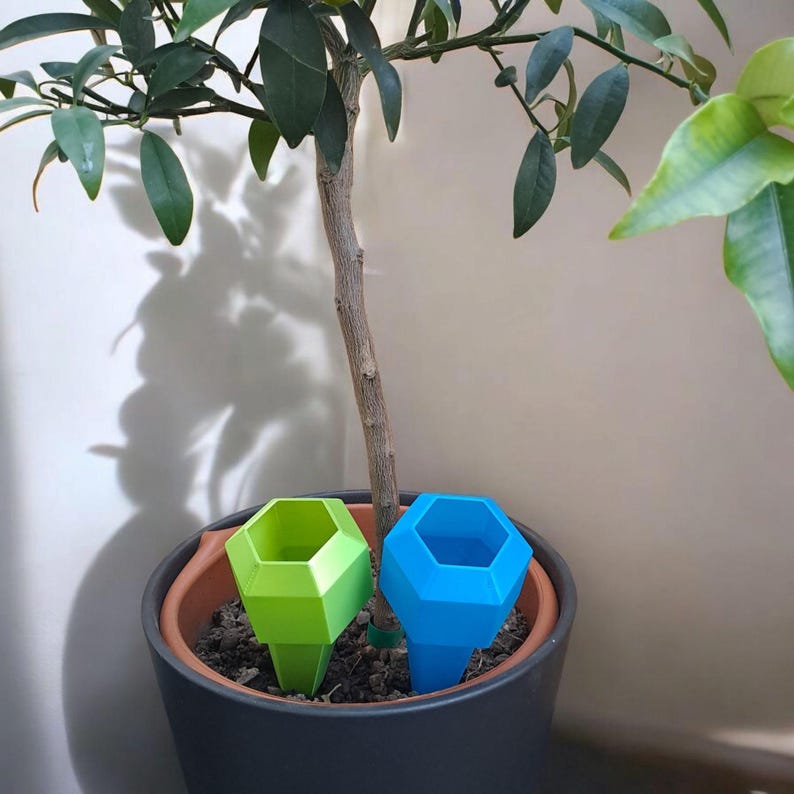 May include: A potted plant with two geometric-shaped plant watering devices. One is bright green, the other is blue. The devices are inserted into the soil of the plant pot. The plant has green leaves and a brown trunk.