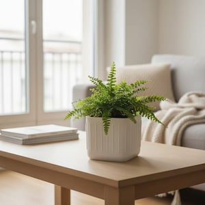 May include: A green fern plant in a white square planter with vertical lines sits on a light brown wooden coffee table. The table is in front of a gray sofa and a window. A stack of books is on the table.