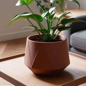 May include: A potted plant with large green leaves sits in a geometric terracotta-colored pot on a wooden table. The table is in a living room setting, with a gray sofa visible in the background. The pot's design features angled facets.