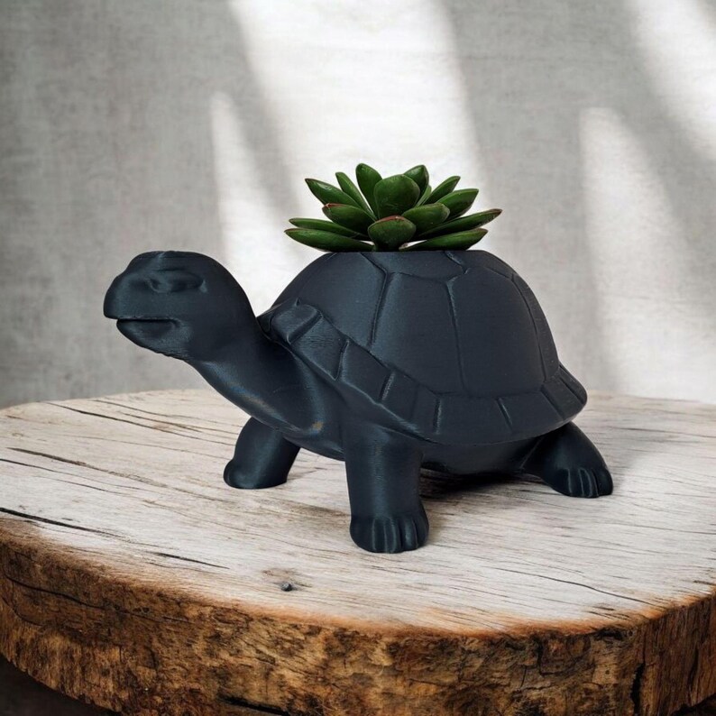 Puede incluir: Una maceta en forma de tortuga gris oscuro con una planta suculenta. La maceta est&aacute; hecha de un material s&oacute;lido y tiene una superficie texturizada. La suculenta es verde con puntas rojas. La maceta est&aacute; sobre una superficie de madera.