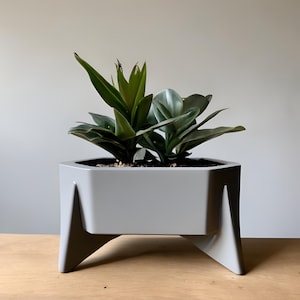 May include: A modern, gray hexagonal planter with a geometric base, holding two green leafy plants. The planter sits on a light-colored wooden surface, with a neutral background. The overall aesthetic is minimalist and contemporary.