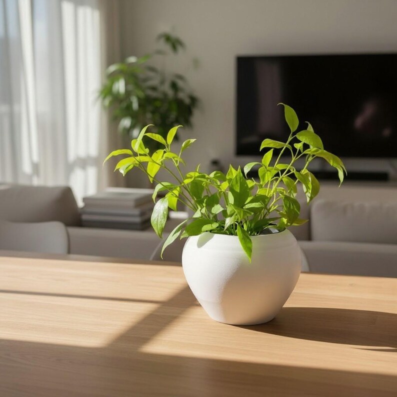 May include: A white, spherical ceramic planter filled with vibrant green leafy plants. The plant pot sits on a light-colored wooden table, with sunlight streaming in from a nearby window. The background includes a couch, television, and other plants.
