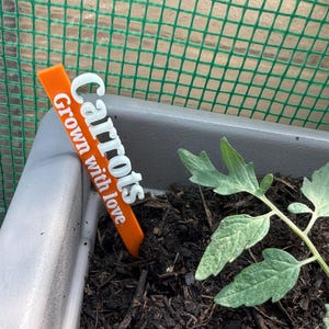 May include: An orange plant marker with the word "Carrots" in white, and the phrase "Grown with love". The marker is placed in a gray planter with dark soil, next to a small green plant. A green mesh fence is in the background.