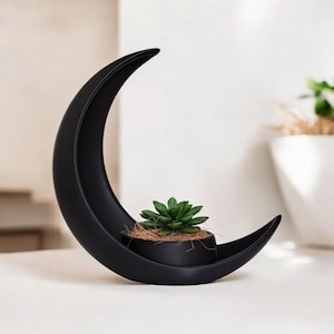 May include: A black, crescent moon-shaped planter with a small succulent plant. The planter has a matte finish and a circular base for the plant. The succulent is green with multiple leaves. The planter is on a white surface.